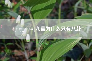 南充九宫为什么只有八卦