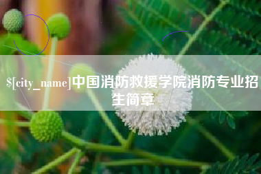 南充中国消防救援学院消防专业招生简章