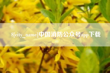 南充中国消防公众号app下载