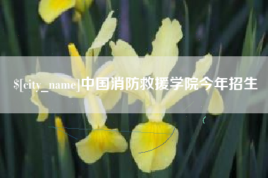 南充中国消防救援学院今年招生