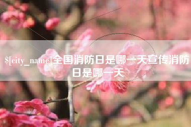 南充全国消防日是哪一天宣传消防日是哪一天