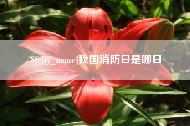 南充我国消防日是哪日