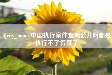 南充中国执行案件查询公开网都是执行不了得案子