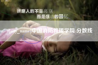 南充中国消防救援学院 分数线