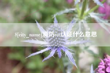 南充消防ccc认证什么意思