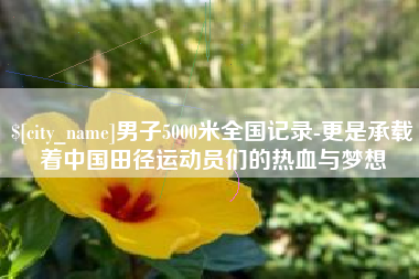 南充男子5000米全国记录-更是承载着中国田径运动员们的热血与梦想