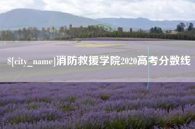 南充消防救援学院2020高考分数线