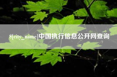 南充中国执行信息公开网查询