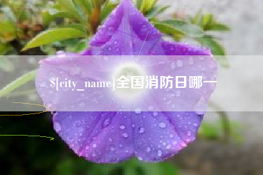 南充全国消防日哪一