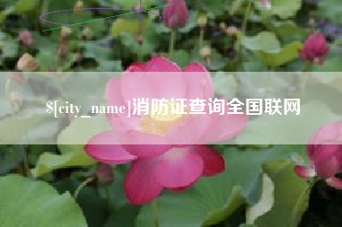 南充消防证查询全国联网