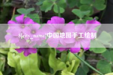 南充中国地图手工绘制