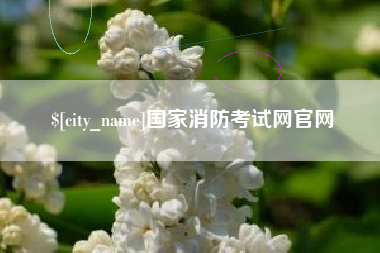 南充国家消防考试网官网