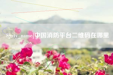 南充中国消防平台二维码在哪里