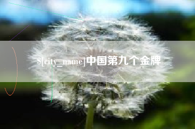 南充中国第九个金牌