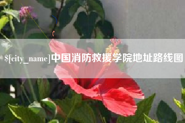 南充中国消防救援学院地址路线图