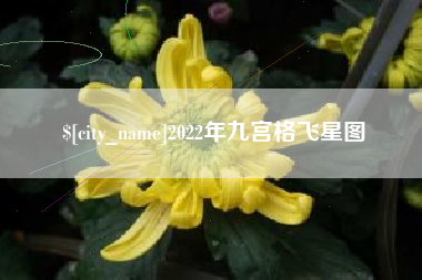 南充2022年九宫格飞星图