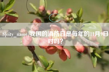 南充我国的消防日是每年的11月9日对吗？