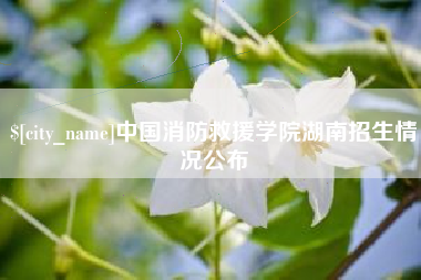 南充中国消防救援学院湖南招生情况公布