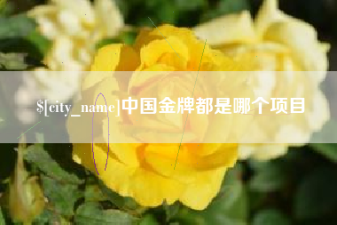 南充中国金牌都是哪个项目