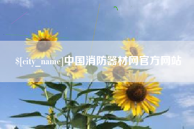 南充中国消防器材网官方网站
