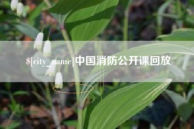 南充中国消防公开课回放
