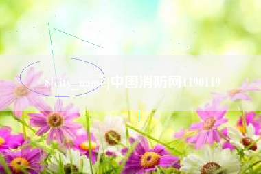 南充中国消防网1190119