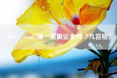 南充第一波奥运金牌“九宫格”
