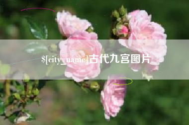 南充古代九宫图片