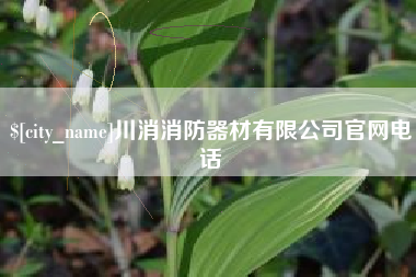 南充川消消防器材有限公司官网电话