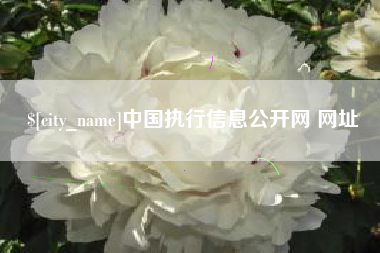南充中国执行信息公开网 网址