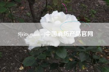 南充中国消防产品官网
