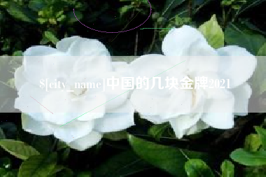 南充中国的几块金牌2021