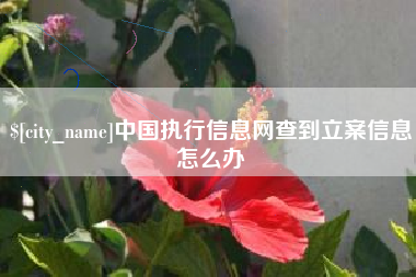 南充中国执行信息网查到立案信息怎么办
