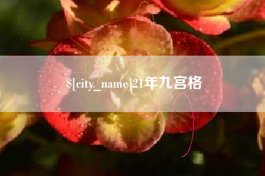 南充21年九宫格