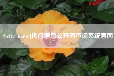 南充执行信息公开网查询系统官网
