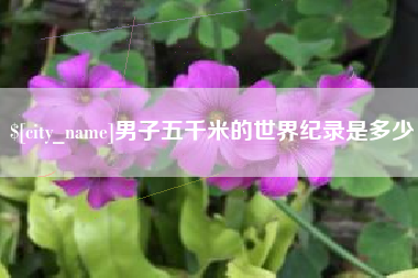 南充男子五千米的世界纪录是多少