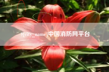 南充中国消防网平台