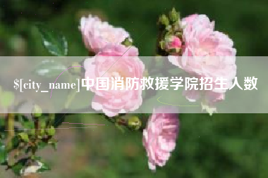 南充中国消防救援学院招生人数