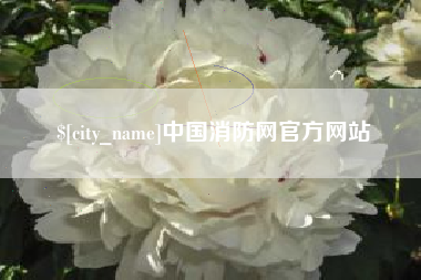 南充中国消防网官方网站