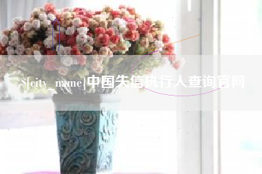 南充中国失信执行人查询官网