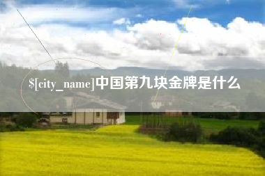南充中国第九块金牌是什么