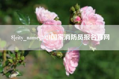 南充2021国家消防员报名官网