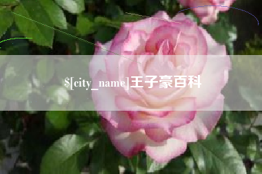 南充王子豪百科