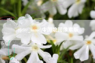南充中国地图像素版