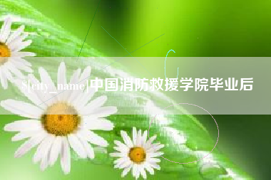 南充中国消防救援学院毕业后