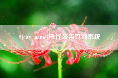南充执行公告查询系统