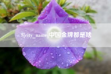 南充中国金牌都是啥