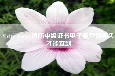南充消防中级证书电子版查询多久才能查到