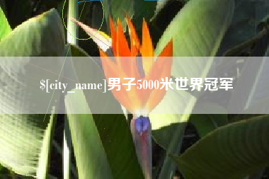 南充男子5000米世界冠军