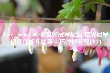 南充5000米世界冠军配速-世界冠军们往往能在比赛中巧妙地分配体力